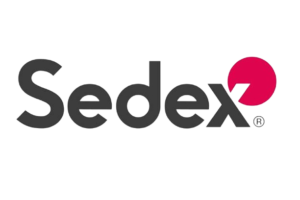 New-Project-1-removebg-preview